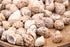 Beige brown spiral bulk shells
